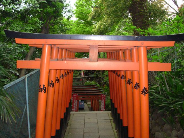 Allée de torii
